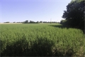 Image du bien UBI478126622
